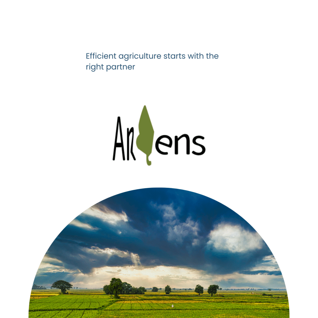 Projects arens
